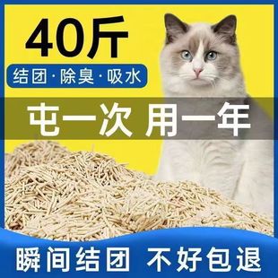 Factory wholesale tofu cat litter original Green Tea mixed dust-free deodorant clumped cat litter a generation of tofu cat litter