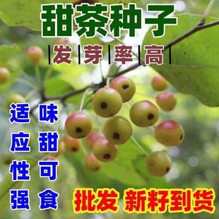 ���N���ļ����N�Ѽ޽��O����ľɽ���ӷN��