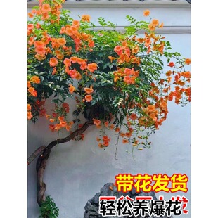 ������������ֲ������Ϙ������ͺ�����ͥԺԺ���Gֲ��ɫ���پG��