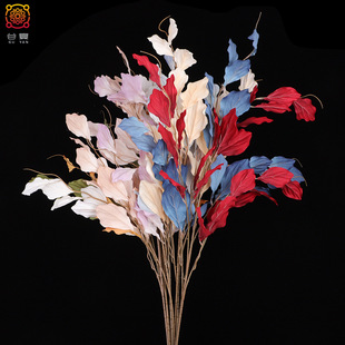 �S��ֱ�N���滨����ֲ��ؐ���~ �������҃ȼҾӾƵ��bzӰ�[�O