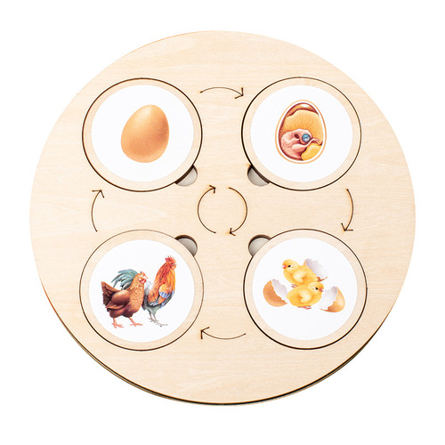 Cross-border  Montessori life cycle pallet wooden enlightenment educational children's diy puzzle toy