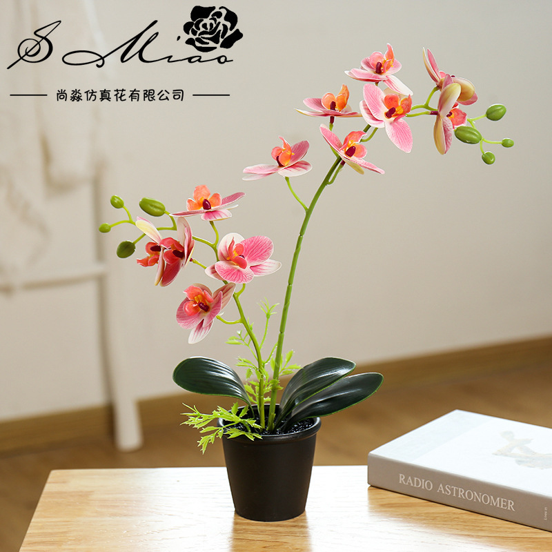 Flor falsa impresa en 3D orquídea mariposa pequeña flor de simulación bonsai creativa decoración interior fábrica directa image 8