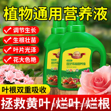 �@ˇ�I�BҺͨ���ͷNֲ�G�}���⻨�ܵ����΢��Ԫ�؏ͺϷ�ֲ��ˮ��