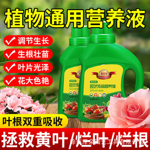 �@ˇ�I�BҺͨ���ͼ��÷Nֲ�G�}���⻨�ܵ����΢��Ԫ�؏ͺϷ�ֲ��