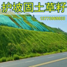 ��ľ�N�Ӹ���é���������������뻱�̻��໨ľ�m�ݷN���o��