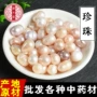 量大齐全淡水中药材