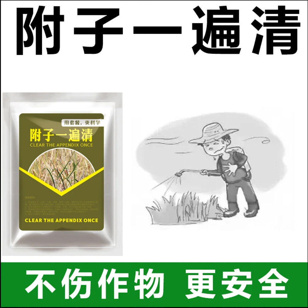 香附子除草套装强效升级版四合一新配方滁异形莎草科除草剂