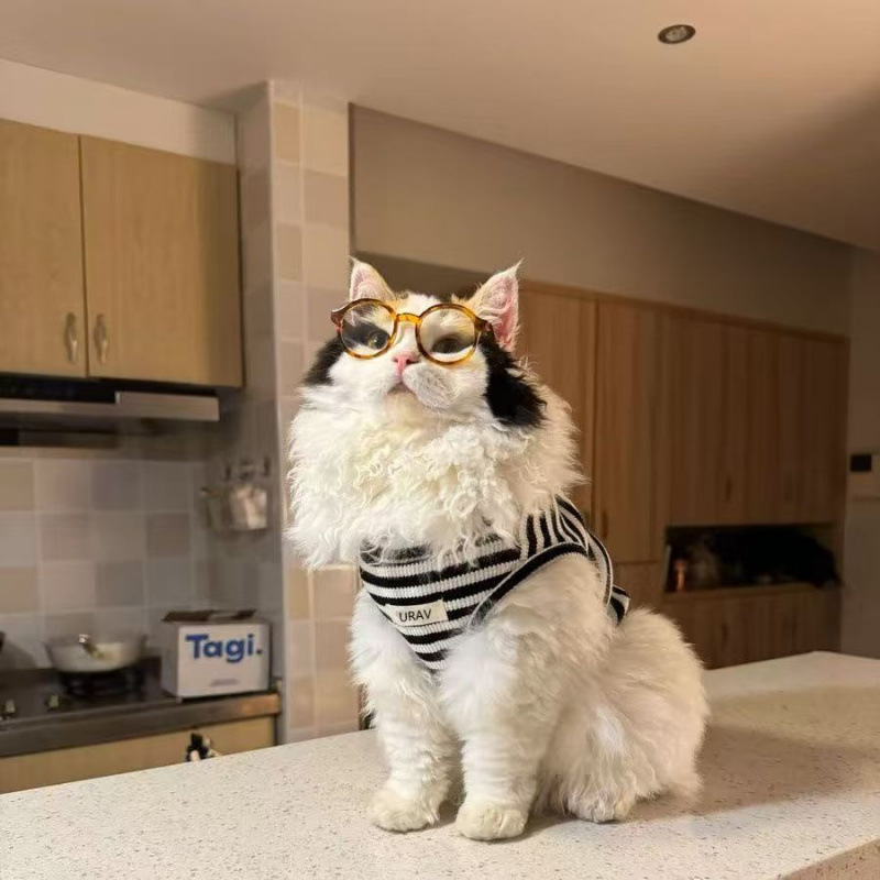Ropa de gato de verano delgada perro pequeño anti-pello transpirable plata gradiente lindo gato de patas cortas chaleco a rayas