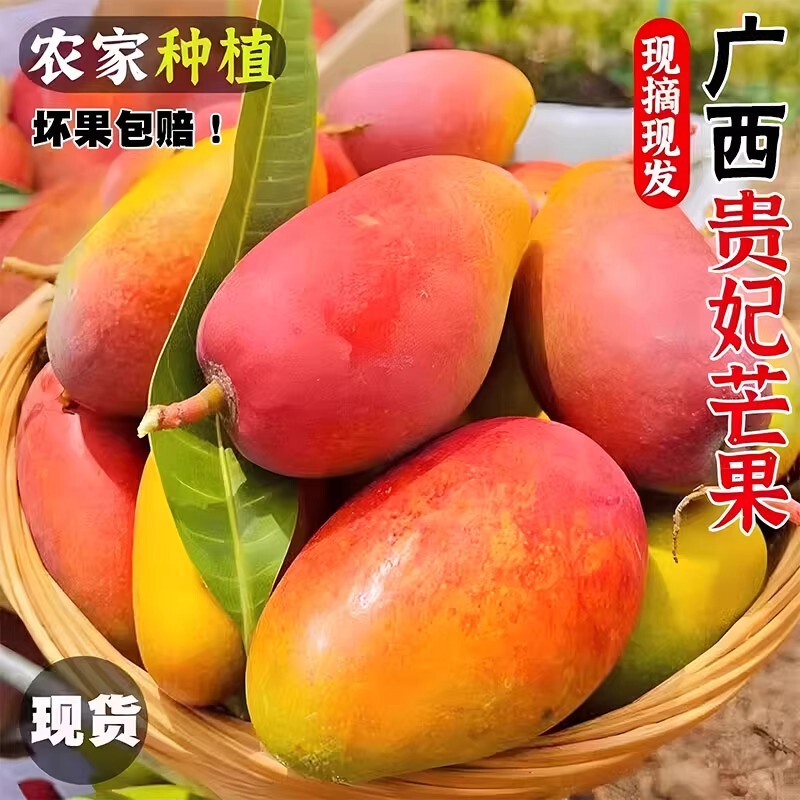 Fresh Guifei Mango 4.5kg - Mangoes, Seasonal Fruit, Tree-Ripened, Thick Flesh, Juicy, Red Golden Dragon Chili Sweetheart Mango, Various Sizes