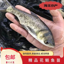 ���^�~���r�����^���|��ˮ�Bֳ�I�~���^�~�O��ֱ���l؛����