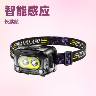 Cross-Border Strong Light Induction Headlight Rechargeable Bicycle Light Wild Fishing Head-Mounted Work Light Outdoor Camping Emergency Light