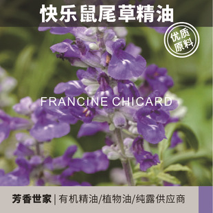 ���������e��ӡ�ȿ옷��β�ݾ�����Ȼ��޹����Ժ��Ħ����