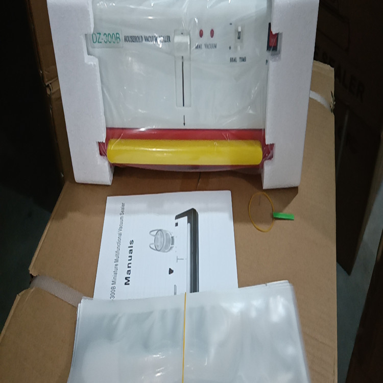 Máquina de vacío doméstica Mini máquina de sellado Mini máquina de vacío 300 máquina de vacío de separación seca y húmeda