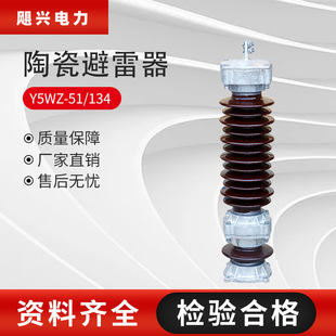 Power Station Type 35Kv Ceramic Zinc Oxide Arrester Y5Wz-51-134 Composite Zinc Oxide Arrester Porcelain Bottle