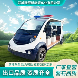 电动观光车;高尔夫球车;其他电动车