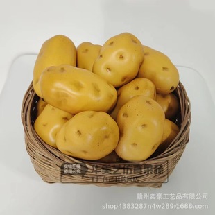 �S��ֱ�N�߷���������ĭ���R������߲�ģ�͏N���b�Ʒ�r�������