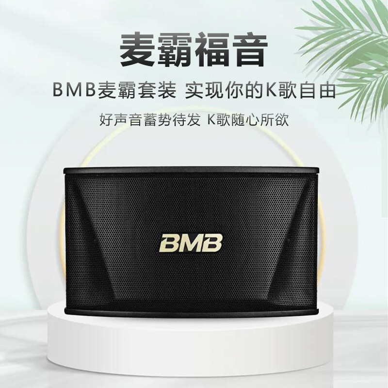 BMB CSN510 speaker home KTV audio professional karaoke home theater music bar meeting karaoke BMB CSN510 speaker home KTV audio professional karaoke home theater music bar meeting karaoke