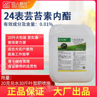 大包装20升24表芸苔素内脂调节生延边天宝生物|ms