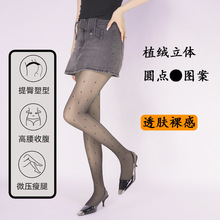 ���Ĳ��cӡ��ֲ�q�z�mŮ�ӽq�Ӻ��ﶬ������������׼�͸���Bѝ�m