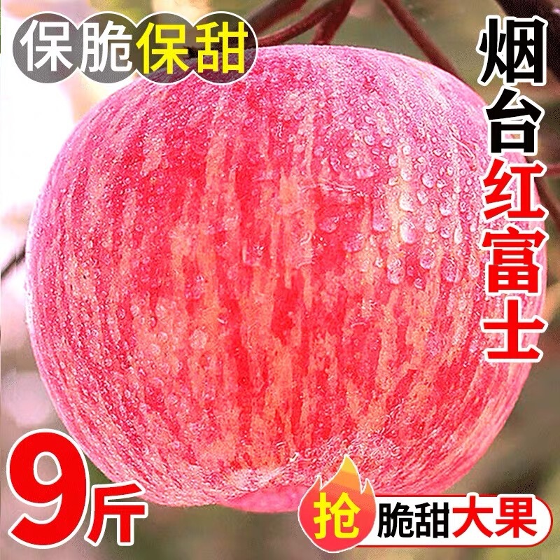 Yantai Red Fuji Apple Crisps 4.5kg Fresh Fruit Baby Food Complementary Crispy Sweet Fruit Huaniu Apple Sweet and Fragrant Yantai Red Fuji Apple Crisps 4.5kg Fresh Fruit Baby Food Complementary Crispy Sweet Fruit Huaniu Apple Sweet and Fragrant