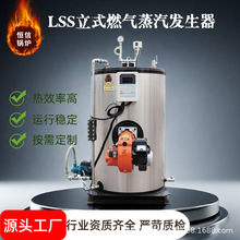 混凝土蒸汽养护机 防爆燃油蒸汽发生器 高压蒸汽养护器桥梁养护机