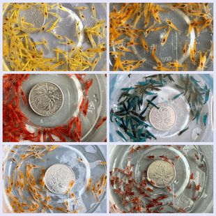 �^�p�r��з�~�׳���ˮ�嵭ˮ����ښ��ѻ�ˮ��С�r�坍�r�r��Ҽ