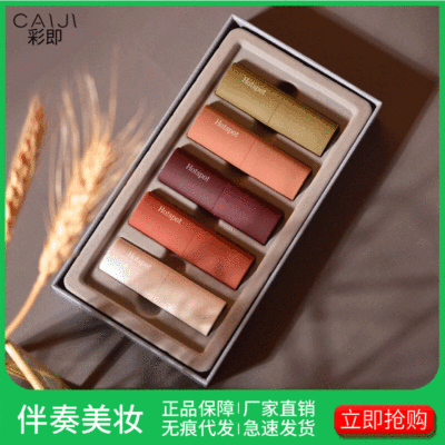 Same item Gift box Lipstick suit Cosmetics Mousse velvet waterproof Matte Lipstick