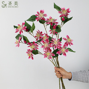 ���滨3�^������� ���Ļ��Ƶ�͏d�b[�O ·���������[�����l