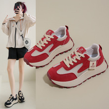 ���͸�W�\�����eЬŮ2025�����¿��p���ϵ�Ь�ٴ�W���ܲ�Ь2F31