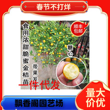 һ�����l��ۘ����Ԏ�����Ƥ������ļ����X�٘������ǽ�ۘ����