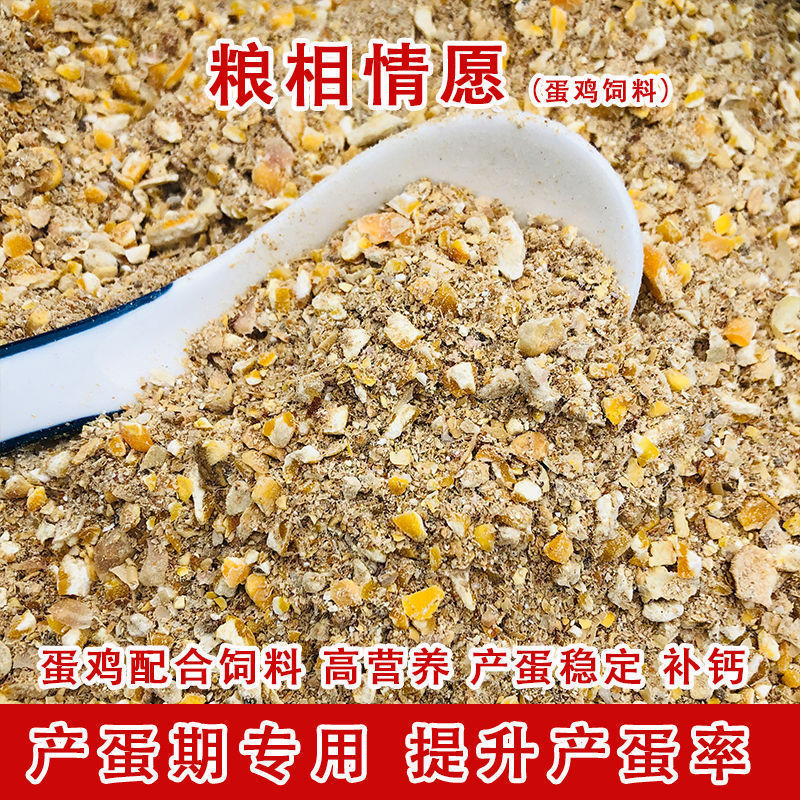 鶏の飼育用のトウモロコシの粉砕、鶏の飼育用のトウモロコシの価格、挽きたての低価格、多くの地方で鶏の飼育、昭関産|undefined