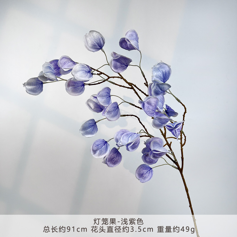 K-灯笼果-浅紫