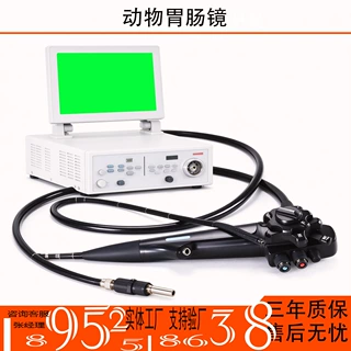 动物胃肠镜系统 便携式兽用电子内窥镜 宠物胃镜肠镜活检诊疗设备