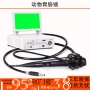 诊疗电子活检兽用肠镜