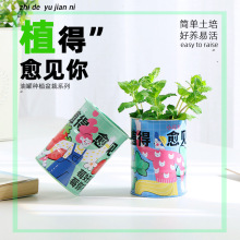 小花农桌面种植杯油桶种植盆栽系列治愈油桶种植幼儿园礼物种植杯