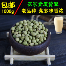 农家自种土小黄豆青皮老品种青豆种可发芽散装豆浆黄豆1000g