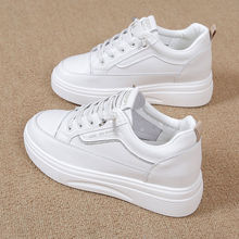 βDN Ƥ͸СЬŮܛ\Ь