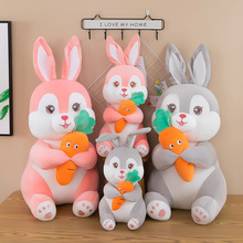 �ɐ�С���Ӻ��}��ë�q�������˯�X������ż����Ů����ͯ���նY��