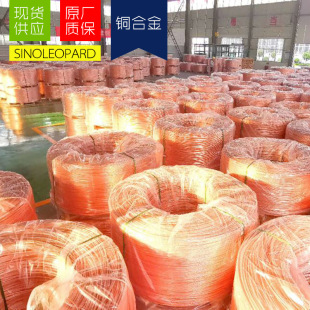 TU1�o���~ �o��������C10200�o���~����C1020�~�� �t�~���l�P��