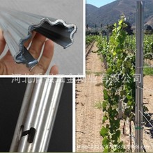 @ ѼܗU F÷ ˮBW֧ΗU