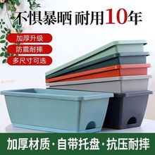 �L�������l���������̨�N�����������L�l�����ԷNֲ���ش�̨