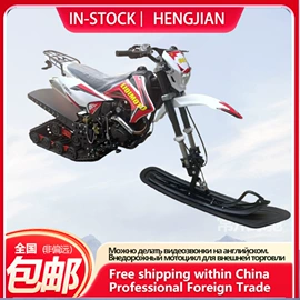 其他摩托车;其他电动车;电动摩托车