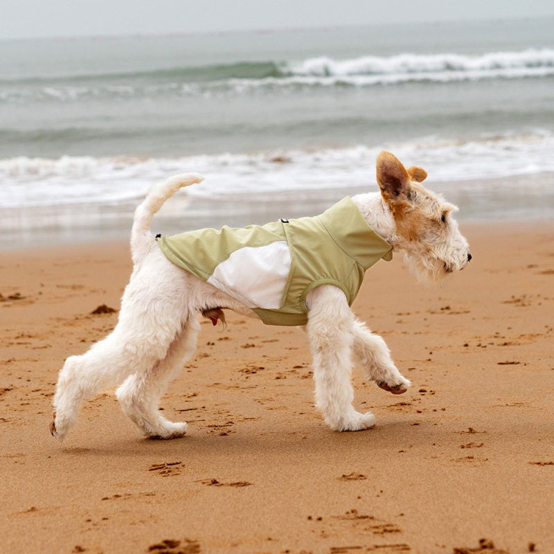 夏用速乾ペットハイネック日焼け止めベスト、濡れても大丈夫、極薄犬服、中小型犬ペット服|undefined