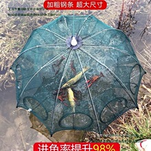 �ۯB��\�~�W�O�W�\���~ֻ�M�����r�\���r�\�~�\�ؾW�\���~�\