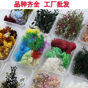 �����ɻ����diy�ֹ����ĸ���ƿϞ�T��޹���z�F�ȉ��������ϰ�