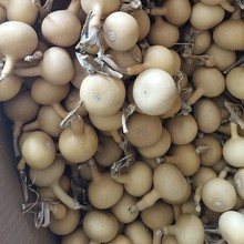 ����С�������Ѻ��J���J�ְѼ������ê��Ѻ��J���J���