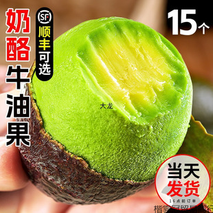 牛油果大果新鲜水果当季整箱包邮熟透即食鳄梨云南哈斯奶油-阿里巴巴