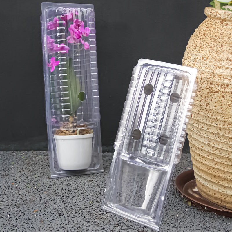 12CM直径加高吸塑包装盒 花卉种苗盆栽运输盒 蝴蝶兰盆栽运输盒