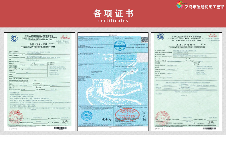 11467186042_848511351