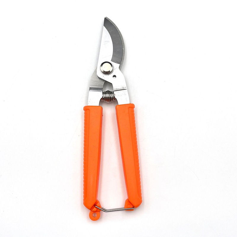 Hersteller Großhandel Mühesparende Frühlingsgarten Topfpflanzen Obstpflücken Beschneiden spitzer Blumenzweige Gartenarbeit_voghion.com